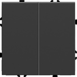 Переключатель 2-клавишный (механизм), 250В, 10А, серия Эмили, RSW10-5107-05, черный уголь, soft touch