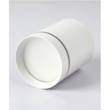 10251 WHITE/БЕЛЫЙ 12W LED/5000-5500K SPF	