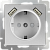 Серебро - Розетка с заземлением, шторками и USBх2 /WL06-SKGS-USBх2-IP20 Werkel